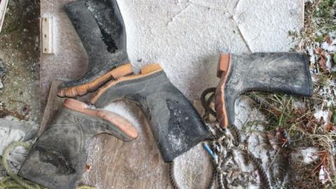 Scared Chipmunk & Footsteps - IMG_2009.jpg