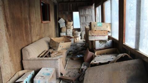 Scared Chipmunk & Footsteps - IMG_2010.jpg