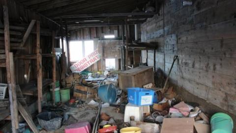 Scared Chipmunk & Footsteps - IMG_2011.jpg