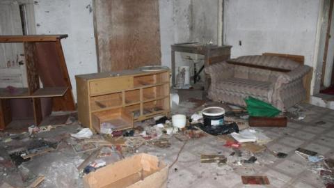 Scared Chipmunk & Footsteps - IMG_2013.jpg