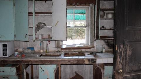 Scared Chipmunk & Footsteps - IMG_2014.jpg