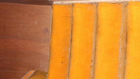 Scared Chipmunk & Footsteps - IMG_2016.jpg