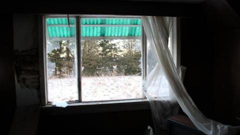 Scared Chipmunk & Footsteps - IMG_2017.jpg