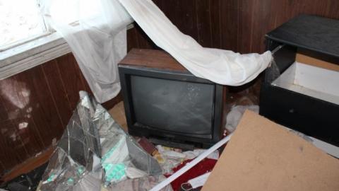 Scared Chipmunk & Footsteps - IMG_2019.jpg