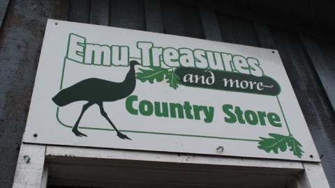 Wacky Wallpaper - IMG_2515.jpg