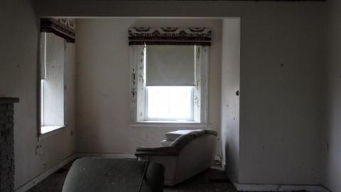 Wacky Wallpaper - IMG_2531.jpg