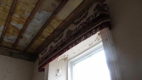 Wacky Wallpaper - IMG_2535.jpg