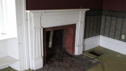 Wacky Wallpaper - IMG_2538.jpg