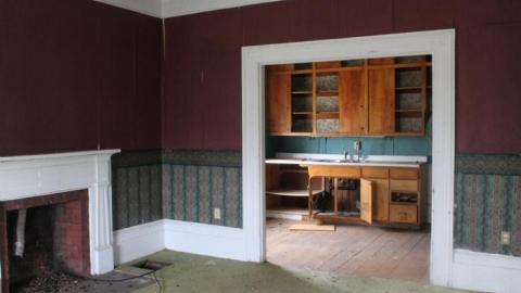 Wacky Wallpaper - IMG_2540.jpg