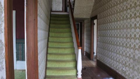 Wacky Wallpaper - IMG_2541.jpg