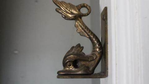 Wacky Wallpaper - IMG_2544.jpg