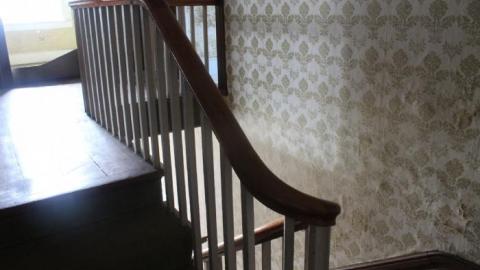 Wacky Wallpaper - IMG_2555.jpg