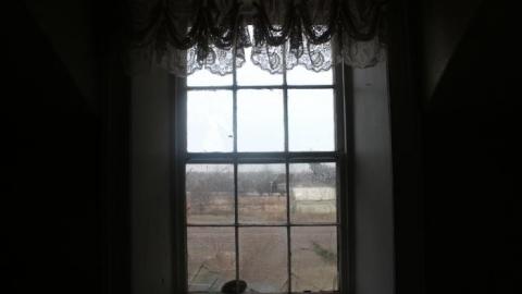 Wacky Wallpaper - IMG_2560.jpg