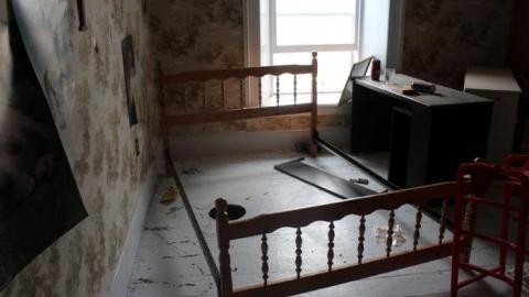 Wacky Wallpaper - IMG_2564.jpg