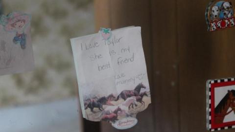 Wacky Wallpaper - IMG_2566.jpg