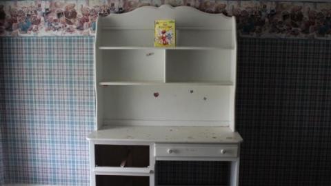 Wacky Wallpaper - IMG_2568.jpg