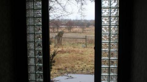 Wacky Wallpaper - IMG_2571.jpg