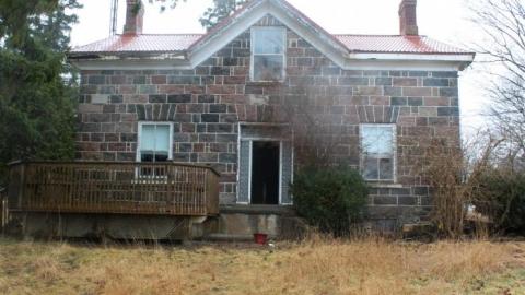 Wacky Wallpaper - IMG_2575.jpg