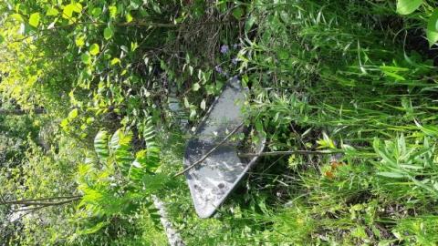 Spotlight No More - Bar-hopping-no-more13.jpg