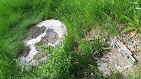 Innisfil Storage Of Unwanted I - Abandoned-Storage-HomesTrailers15.jpg