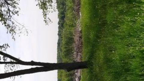 Innisfil Storage Of Unwanted I - Abandoned-Storage-HomesTrailers16.jpg