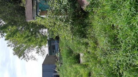 Innisfil Storage Of Unwanted I - Abandoned-Storage-HomesTrailers19.jpg