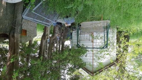 Innisfil Storage Of Unwanted I - Abandoned-Storage-HomesTrailers29.jpg