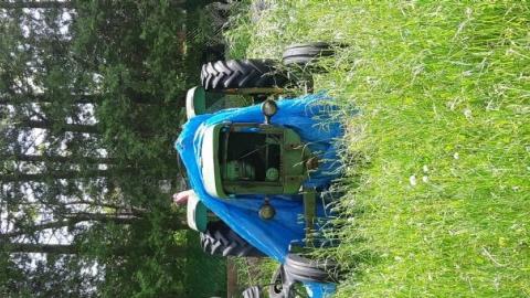 Innisfil Storage Of Unwanted I - Abandoned-Storage-HomesTrailers30.jpg