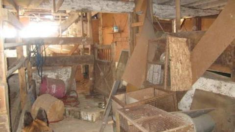 The barn - Teston-Farm6.jpg