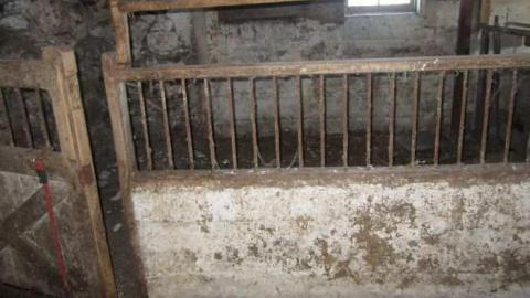 The barn - Teston-Farm7.jpg