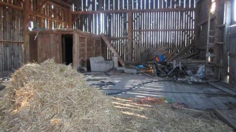 The barn - Teston-Farm14.jpg