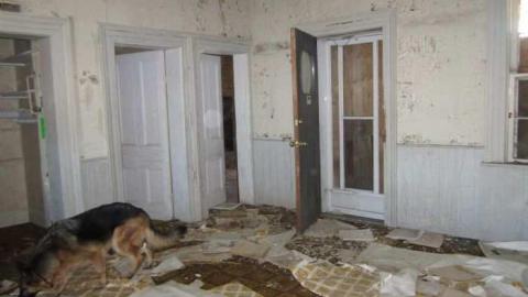 Inside the house #1 - Teston-Farm24.jpg