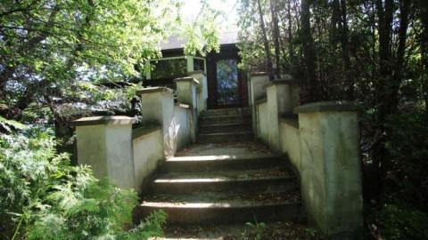 All Hustle No Disco photo 4