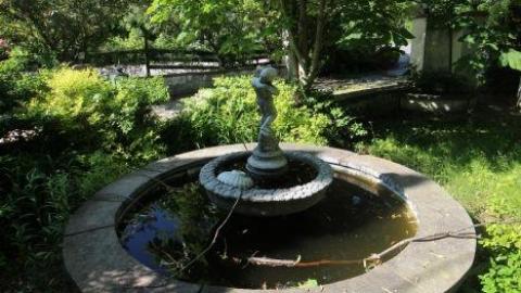 70s Shag Carpet house - IMG_4655.jpg