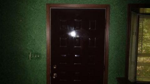 70s Shag Carpet house - IMG_4641.jpg