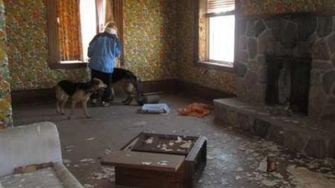 Inside the house #1 - Teston-Farm34.jpg