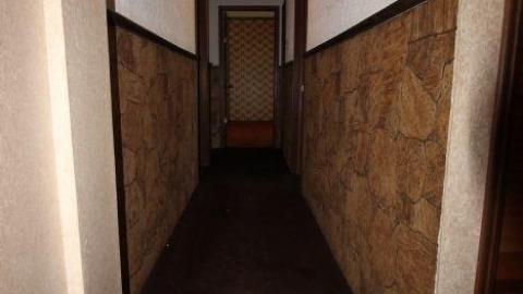 70s Shag Carpet house - IMG_4636.jpg
