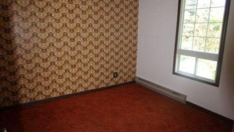 70s Shag Carpet house - IMG_4621.jpg