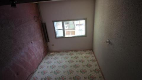 70s Shag Carpet house - IMG_4622.jpg