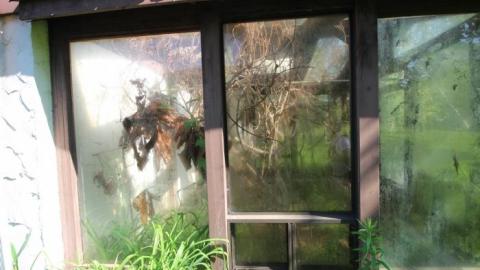 70s Shag Carpet house - IMG_4649.jpg