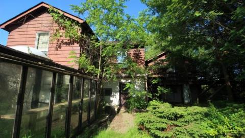 70s Shag Carpet house - IMG_4647.jpg