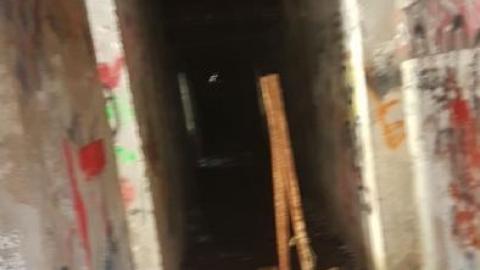 Summer of 2019 - Barber-Paper-Mill--Georgetown346.jpg