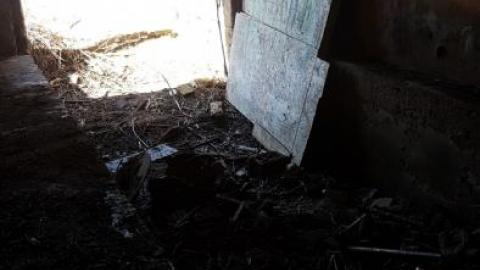 Summer of 2019 - Barber-Paper-Mill--Georgetown354.jpg