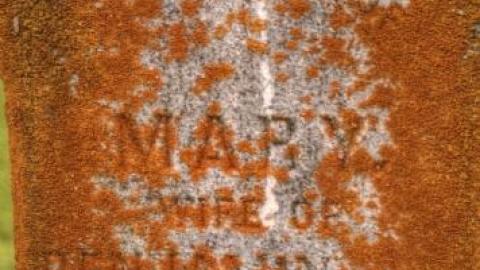 Palgrave [Caledon] Pioneers - Primitive-Methodist-Cemetery4.jpg