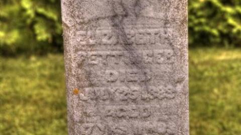 Photo from Palgrave [Caledon] Pioneers