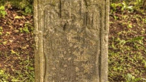 Photo from Palgrave [Caledon] Pioneers