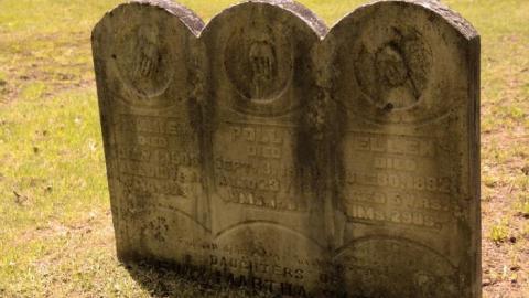 Thompson pioneer Cemetery photo 3