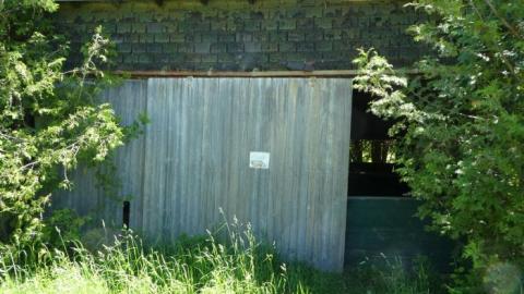 Photo from Swallows and Falls