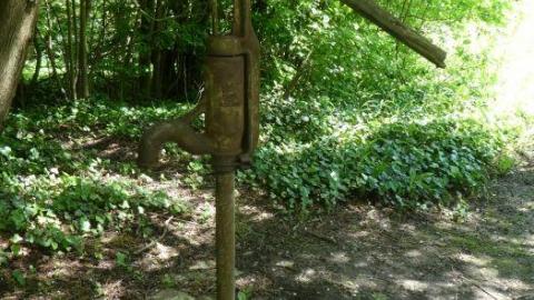 Swallows and Falls - Webwood-Falls3.jpg