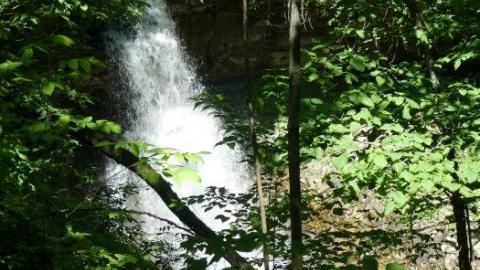 Swallows and Falls - Webwood-Falls26.jpg